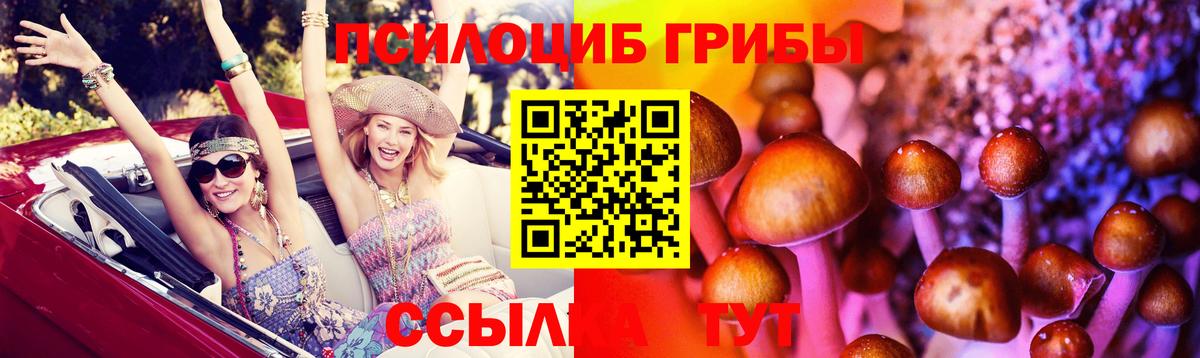 Псилоцибиновые грибы ЛСД Дубна